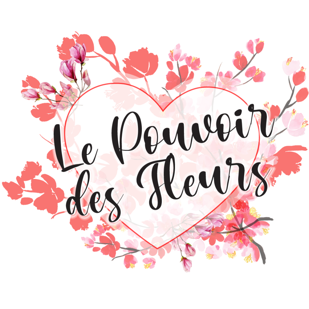 chaque-jour-s-me-de-l-amour-le-pouvoir-des-fleurs